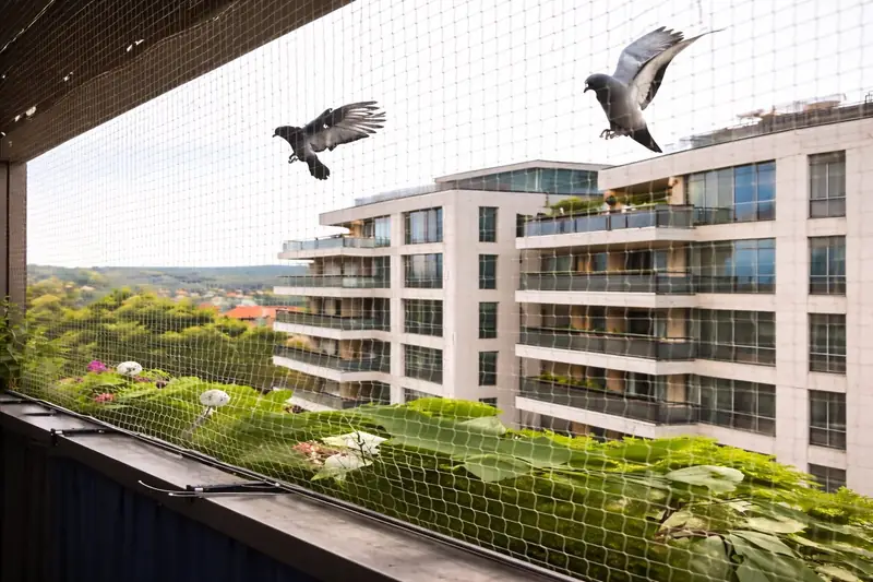 Pigeon Safety Nets installation — Harsha Invisible Grills